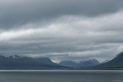 Blick über den Eyjafjörður (© Buelipix)