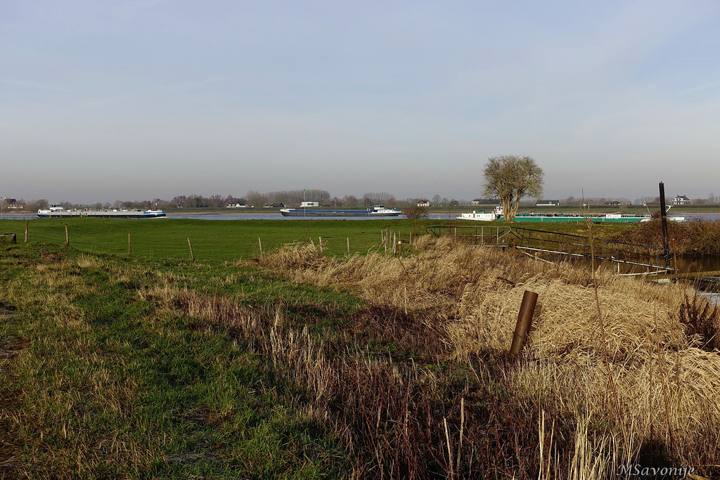 Uitzicht op de Waal