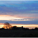 Promenade du soir: coucher de soleil sur la campagne