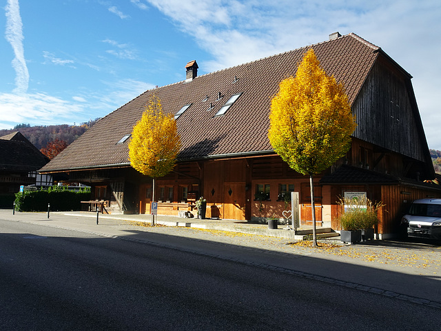 Herbstgold vor altem Haus