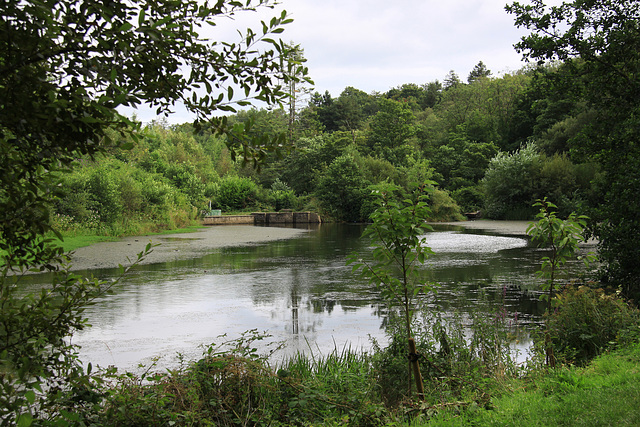 Upper Lake