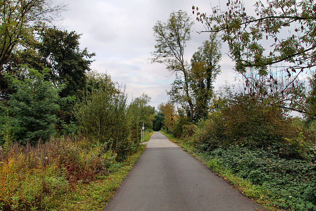 Radweg auf der ehem. RBH-Zechenbahntrasse (Herten) / 17.10.2020