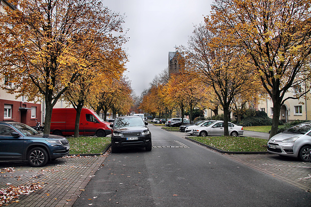 Gneisenaustraße (Dortmund-Innenstadt-Nord) / 3.12.2022