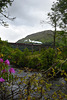 The Jacobite steam train (Hogwarts Express) passing over the Glenfinnan Viaduct.