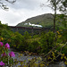 The Jacobite steam train (Hogwarts Express) passing over the Glenfinnan Viaduct.