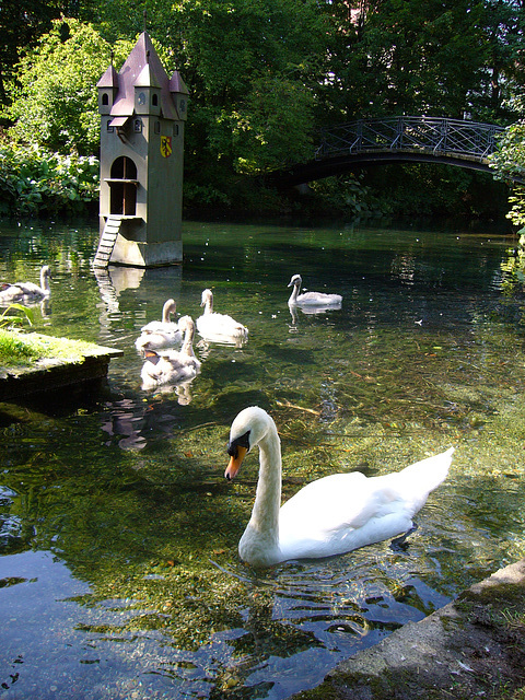 Stadtpark KFB