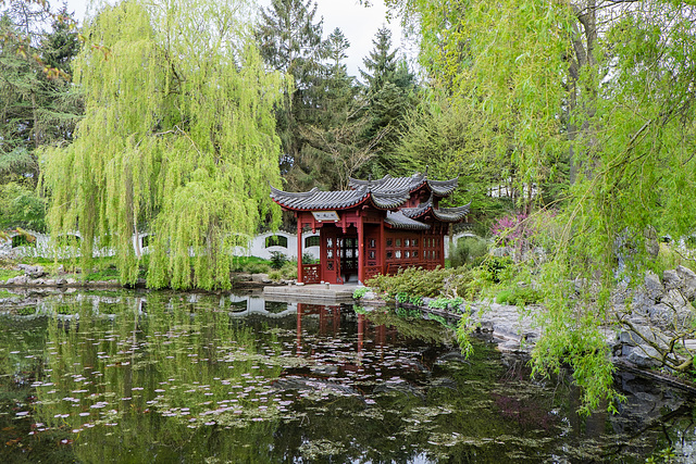 Chinese Garden