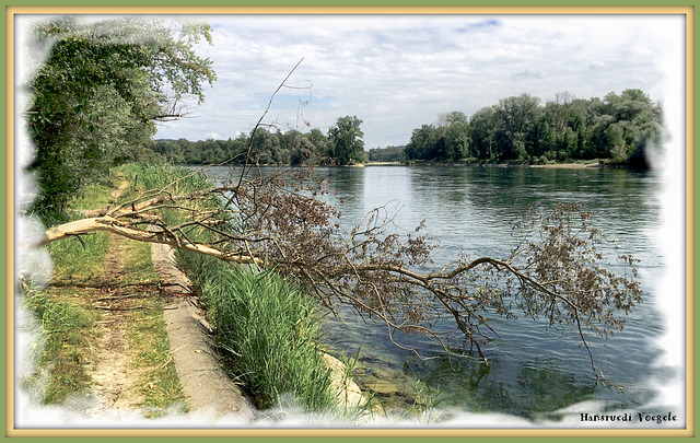 Wanderweg  am Rhein zwischen Rüdlingen und Nack