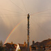 Wood pigeon rainbow & a telegraph pole East Blatchington 23 5 2016