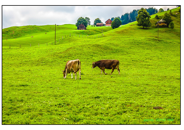 Appenzell