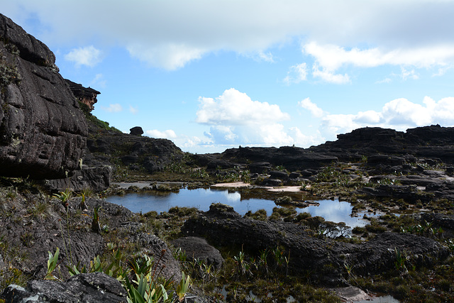 Venezuela, Flat Top of Roraima, On the Way to Tent Camp