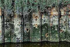 Waterside Wall With Tide Marks 1