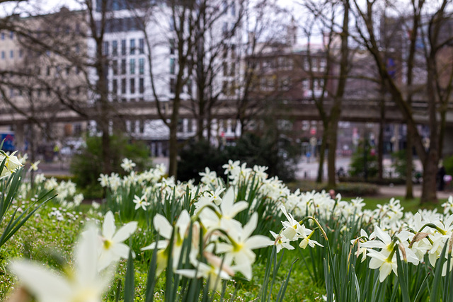 2021-04-21 Frühling in Bremen