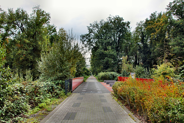 Radweg, vormals RBH-Zechenbahn (Herten) / 17.10.2020