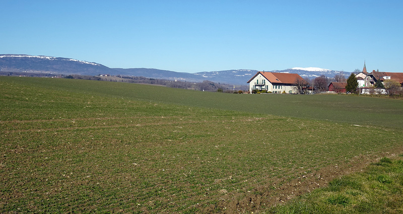 Landschaft bei Vufflens-la-Ville im Hintergrund die Jurakette