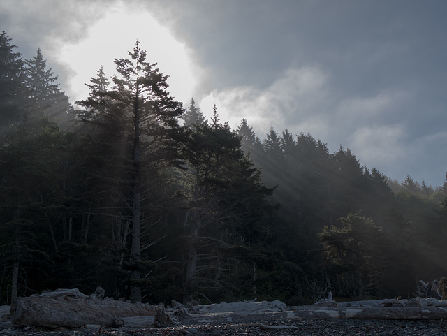 La Push