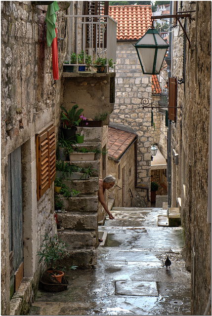 Wet Alley