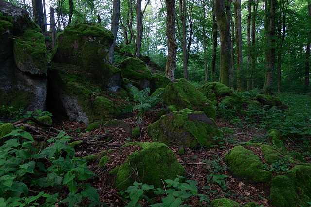 Auf dem Ernstberg in Hinterweiler in der Eifel