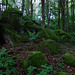 Auf dem Ernstberg in Hinterweiler in der Eifel