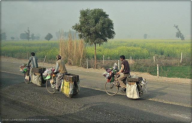 sellers on bycicle (Rajasthan)