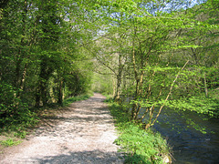 River Wye below Litton Mill in Miller's Dale