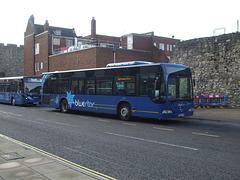 DSCF8298 Go-South Coast (Bluestar) 2423 (HF06 FTT) in Southampton - 1 Jul 2017