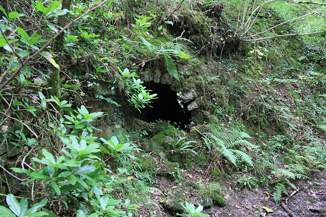 Ancient Culvert