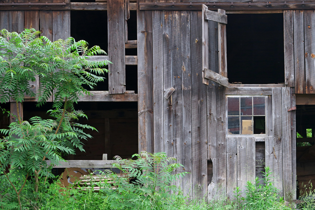 IMG 8266-001-Derelict Barn