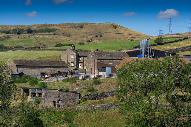 Arnfield farm and Lees Hill