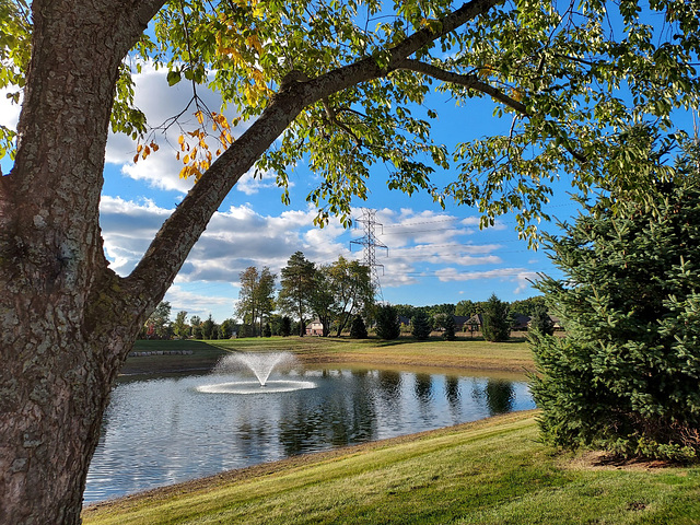 A September afternoon