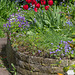 Köln - Gartenimpressionen
