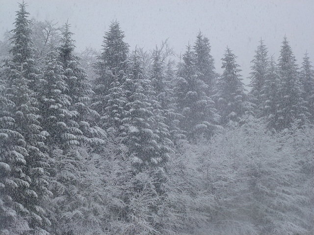 20150221 Raquettes Vercors Col de la Machine (35) al