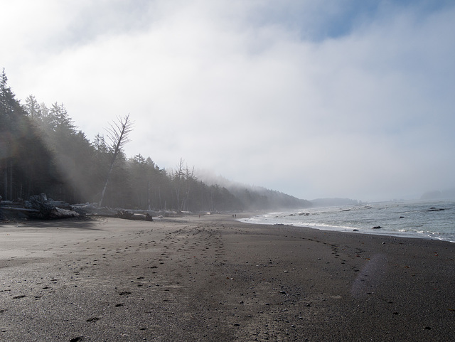 La Push