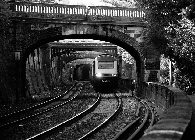 Sydney Gardens Railway Bridges (B&W Edit)