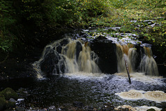 Glenariff Waterfall Trail