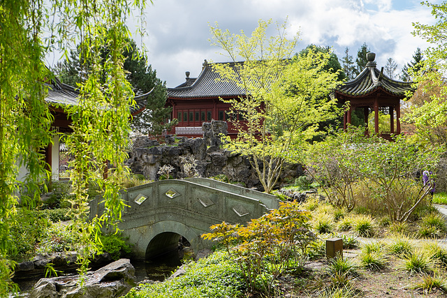 Chinese garden