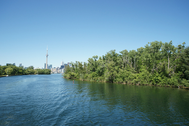 Looking Back To Toronto