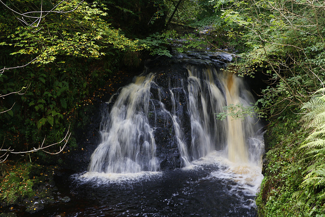 Glenariff Waterfall Trail