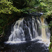 Glenariff Waterfall Trail