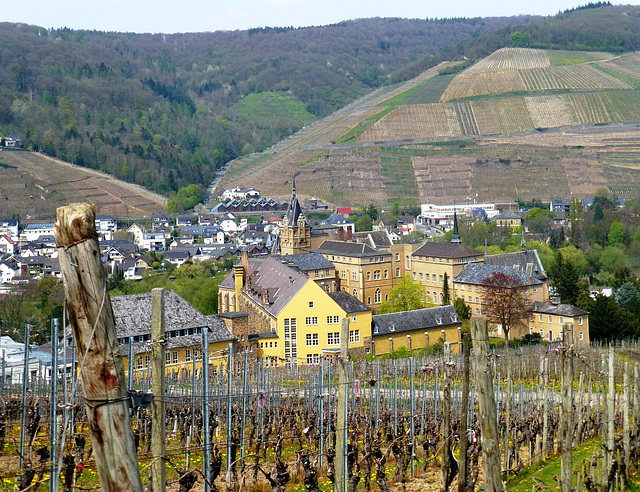 Kloster Kalvarienberg