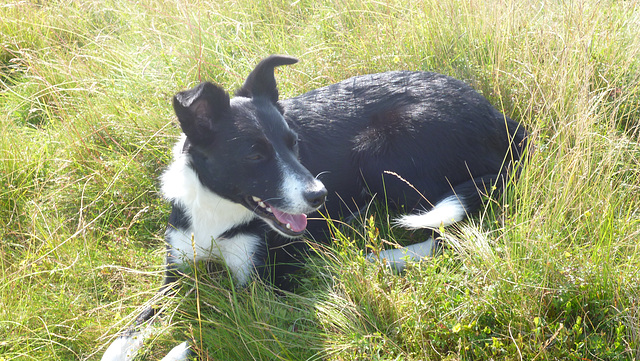 BtC - break on the fell