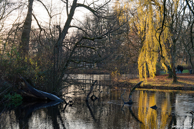 Herbstfarben 2