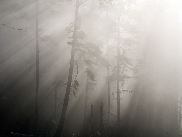 La Push