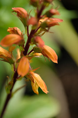 DSCF7467