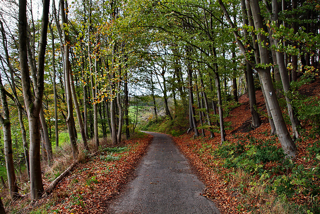 Kreßsieper Weg (Sprockhövel) / 6.11.2022