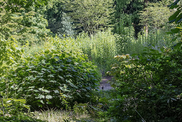 Grüne Ecke im Hermannshof