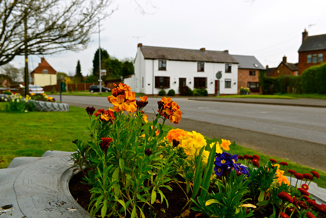 Haughton, Staffordshire