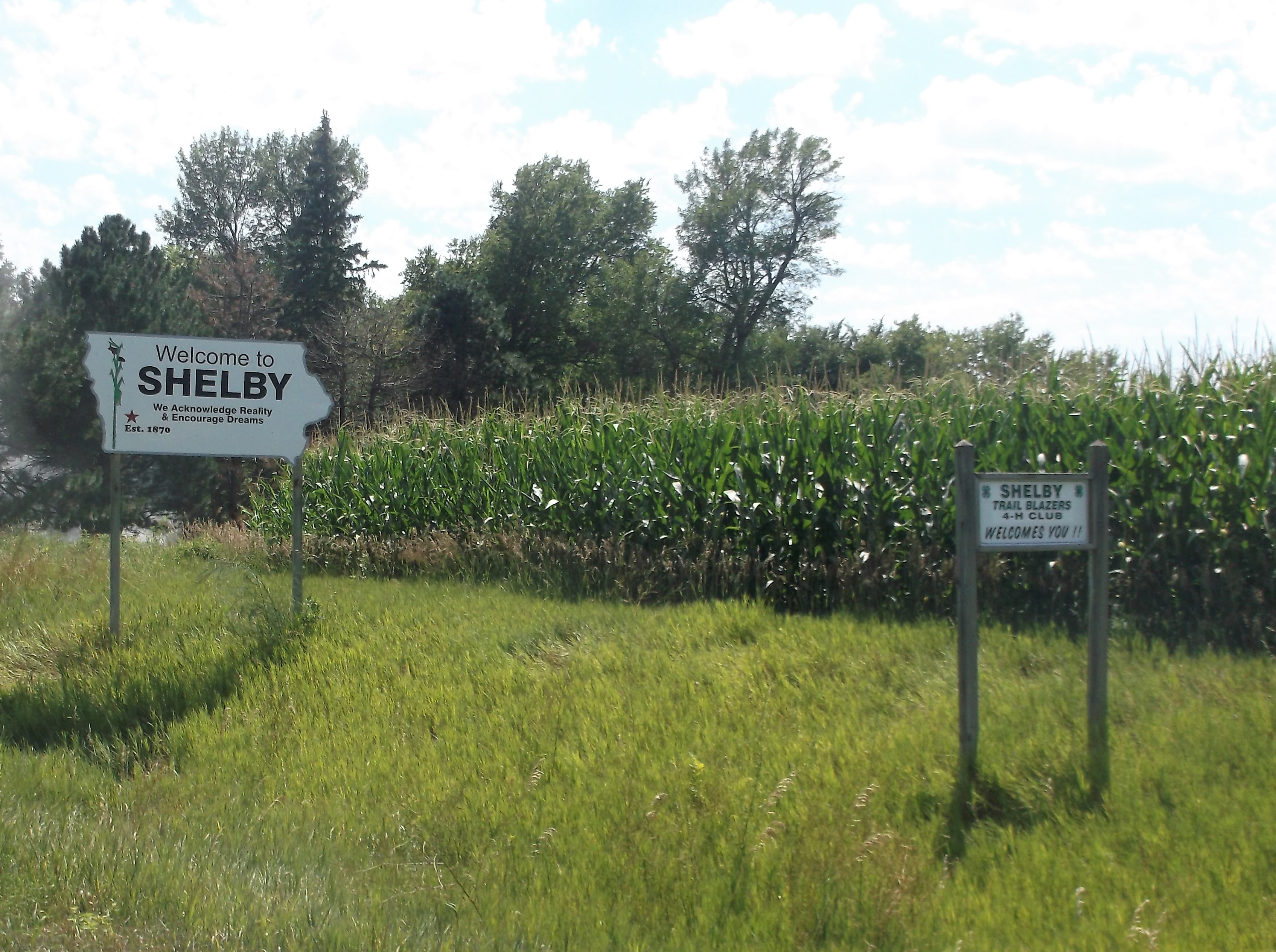 Welcome in corn !  Bienvenue dans le maïs