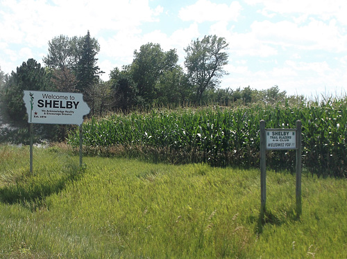 Welcome in corn !  Bienvenue dans le maïs