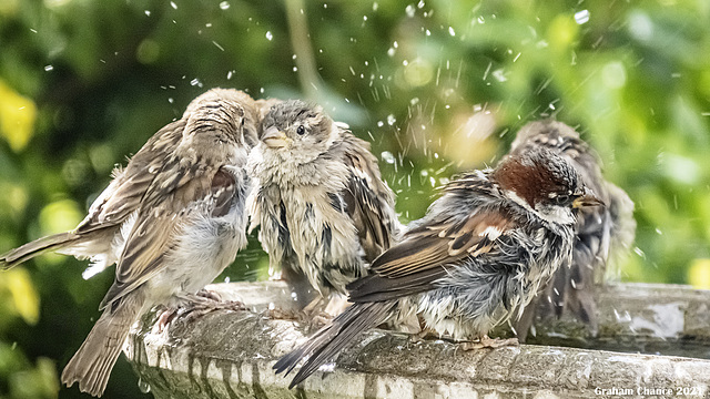 Bathtime